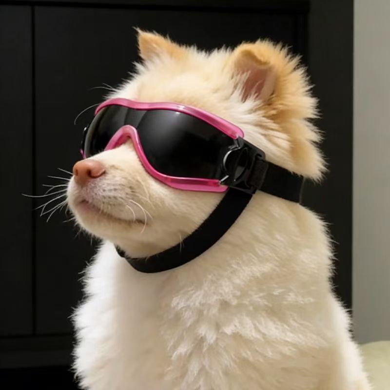 Hondenbril voor kleine en midd - Sunglass Retainer Cord recensie en prijs